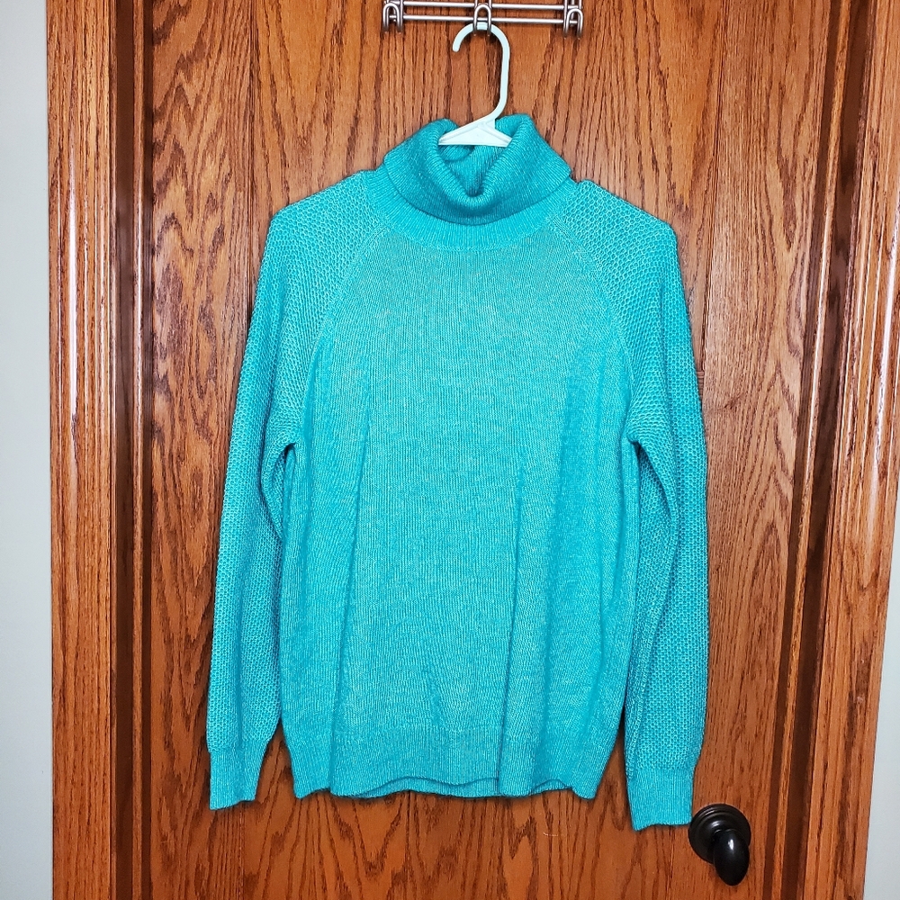 Blue/Green Loft Turtleneck